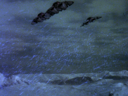 Raider_Screencap_085.png