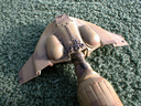 Filename=Eastern_Alliance_Destroyer_Original_Miniature_20.jpg
Filesize=395KiB
Dimensions=1280x960
Date added=Jun 02, 2013 Eastern_Alliance_Destroyer_Original_Miniature_20.jpg